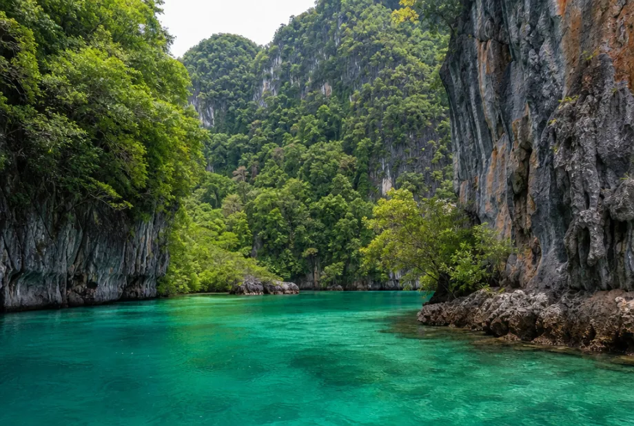 Ko Hong