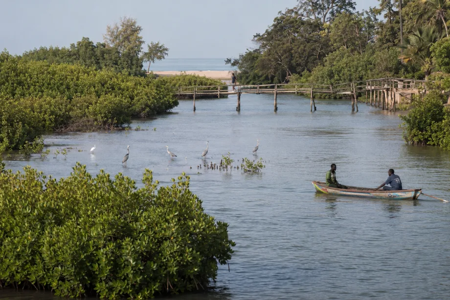 Kotu a Bakau
