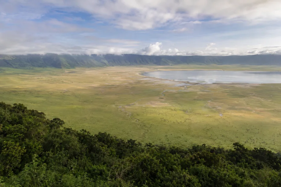 Tanzanie