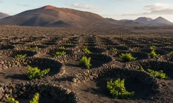 Lanzarote, Španělsko