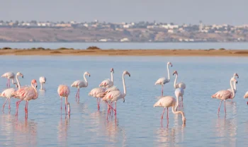 Djerba, Tunisko