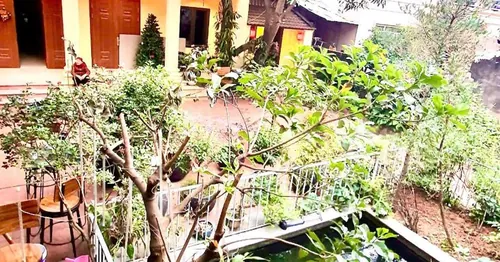 Lee Homestay