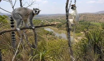 Antananarivo, Madagaskar