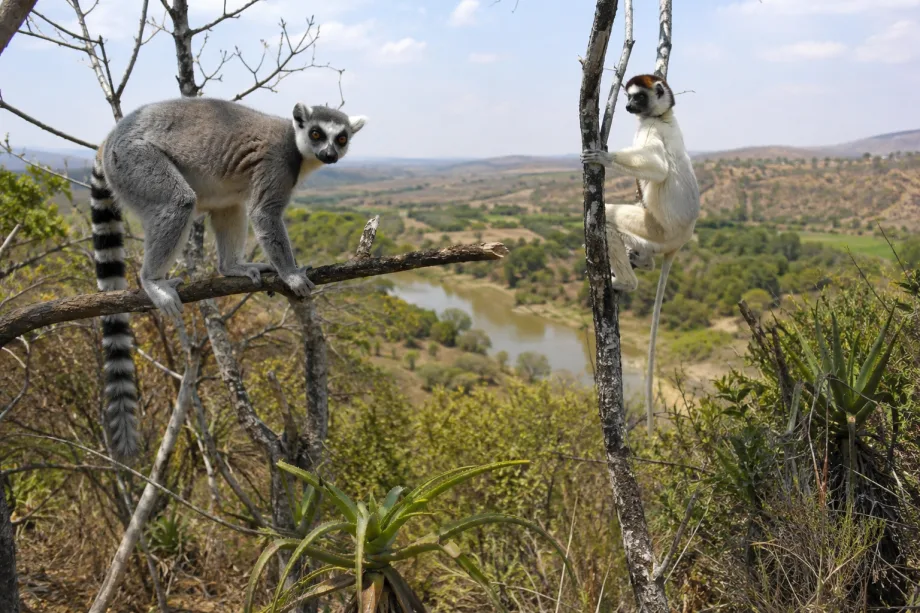 Antananarivo, Madagaskar