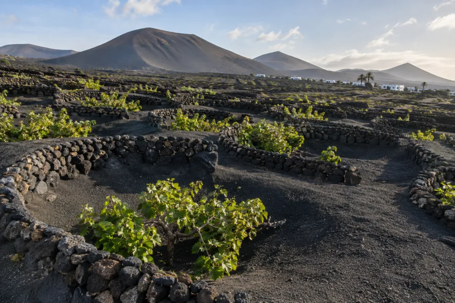 Lanzarote, Španělsko
