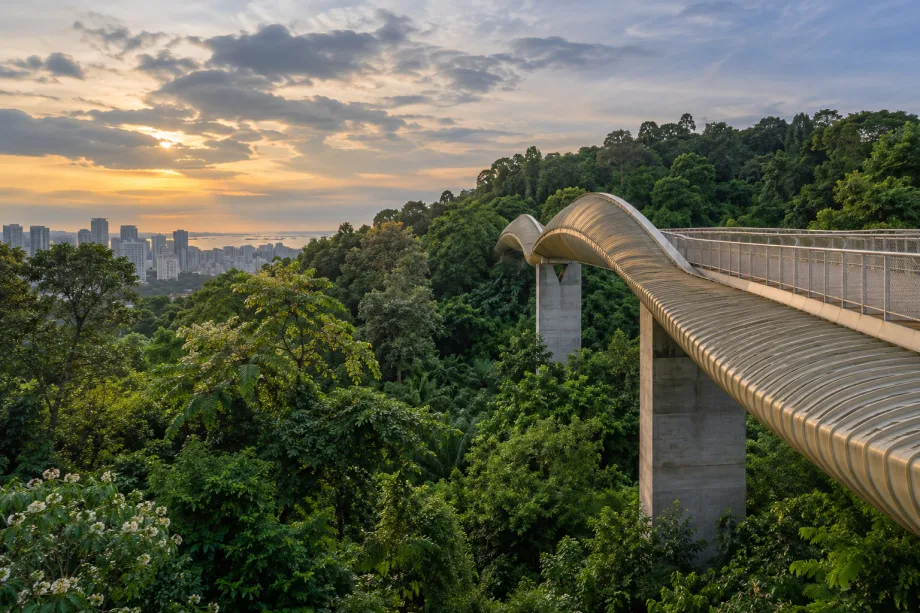 Singapur
