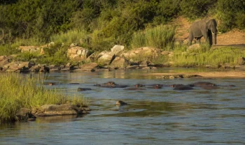 Krugerův národní park, Jihoafrická republika