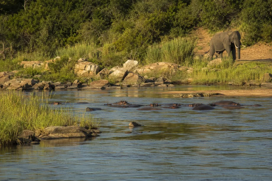Krugerův národní park, Jihoafrická republika