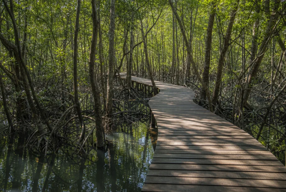 Ko Chang, Thajsko