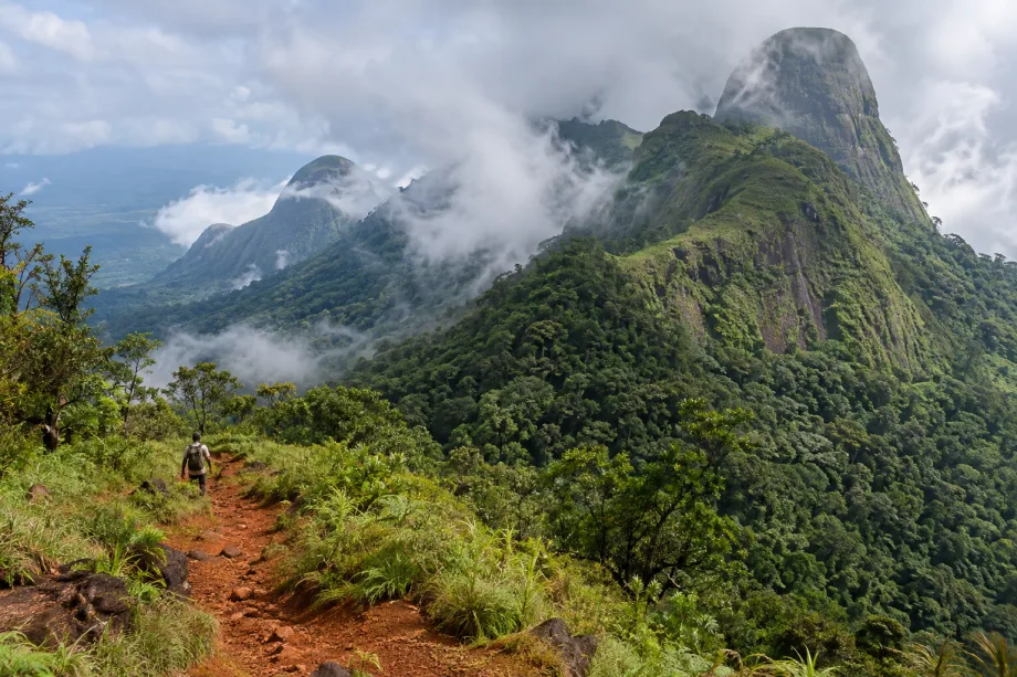 Masiv Nimba