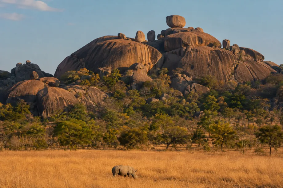 Zimbabwe