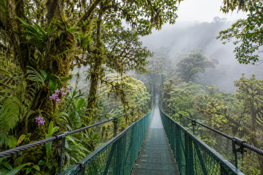 Monteverde