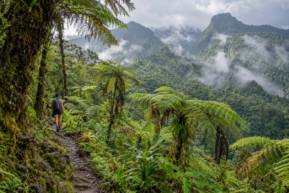 Morne Trois Pitons