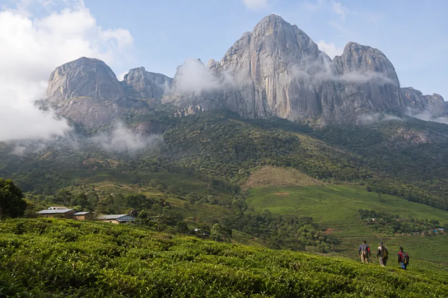 Malawi