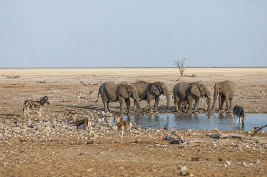 Národní park Etosha