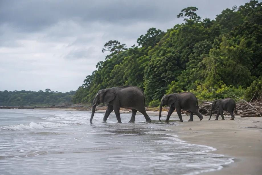 Gabon