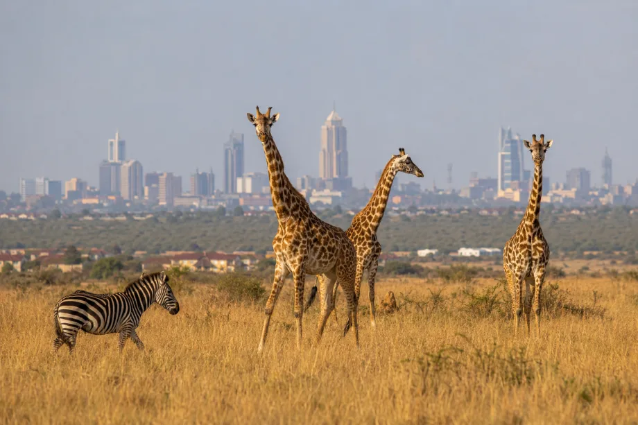Nairobi, Keňa