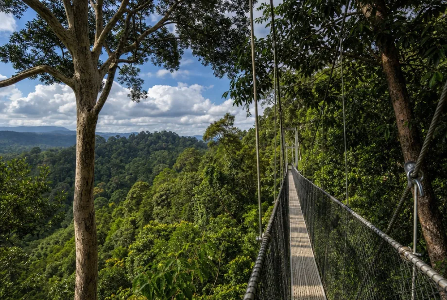 Národní park Ulu Temburong