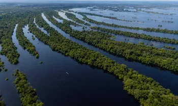 Amazonie, Brazílie