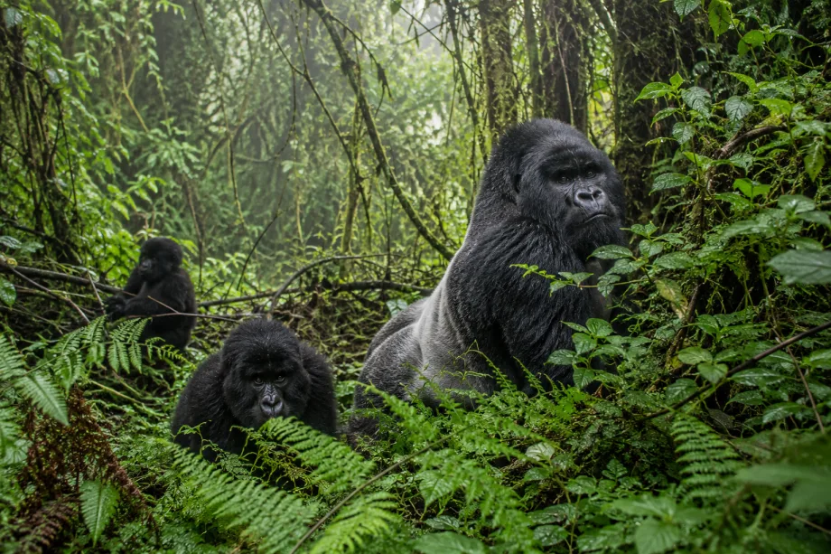 Uganda