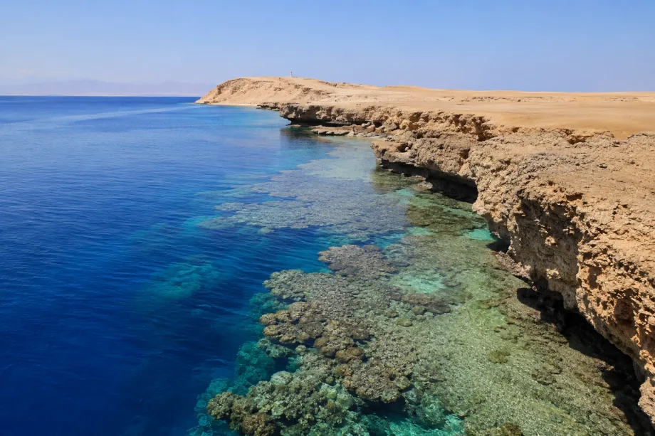 NP Ras Mohammed