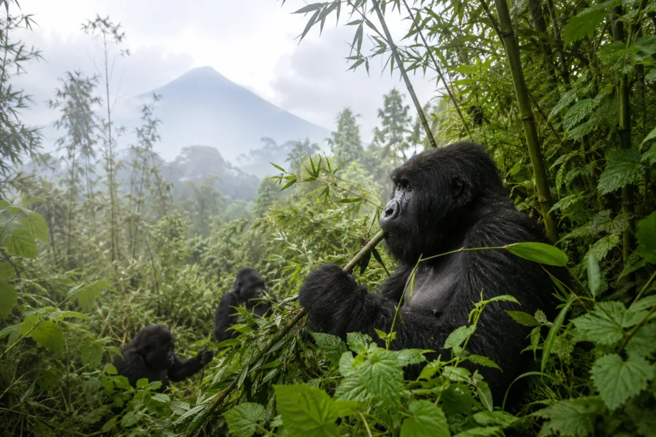 Rwanda