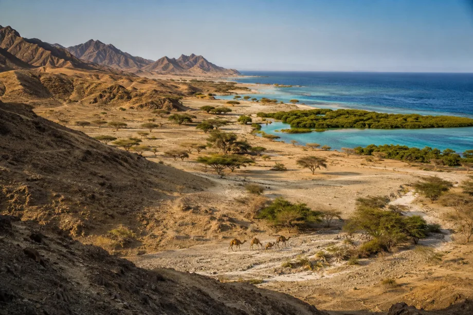 NP Wadi el Gemal