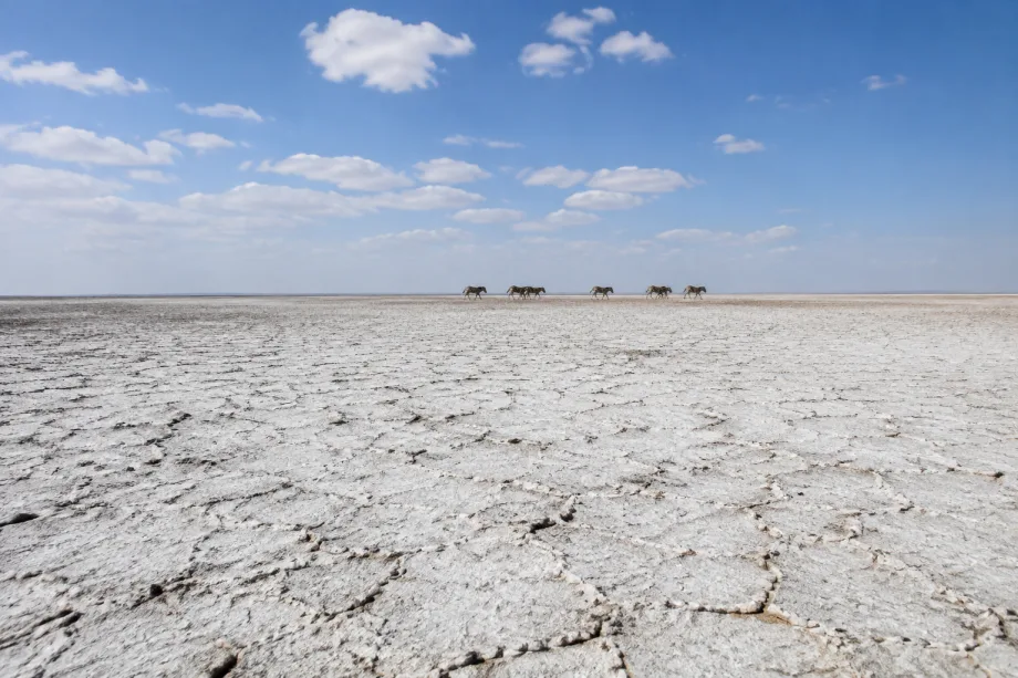 Pánve Makgadikgadi