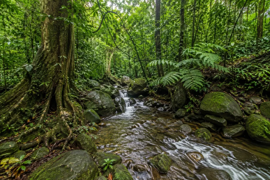 Parque Natural Obô