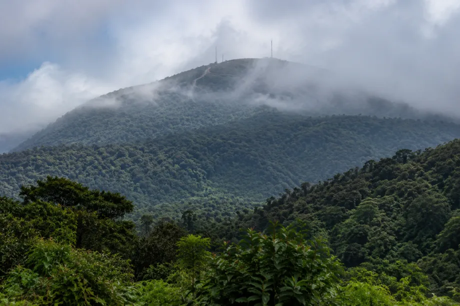 Pico Basilé