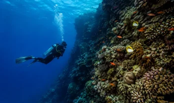 Marsa Alam, Egypt