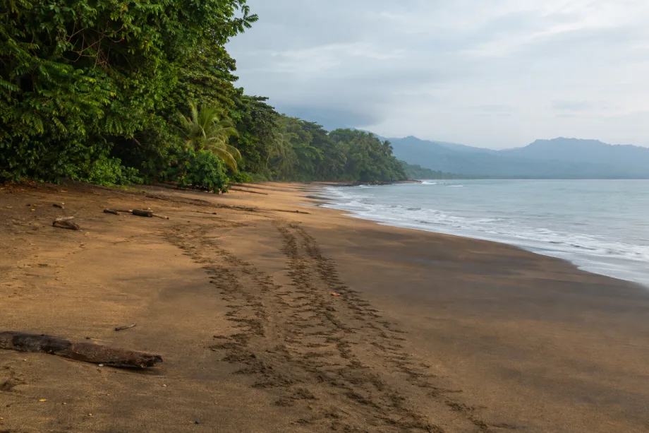 Praia Jalé