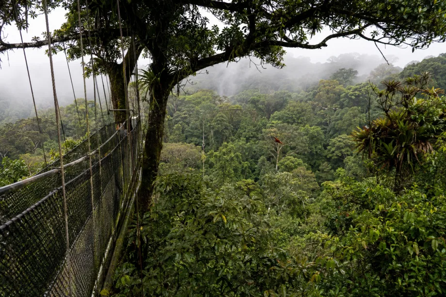 Guyana