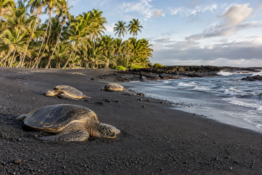 Big Island, USA