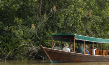 Borneo, Malajsie