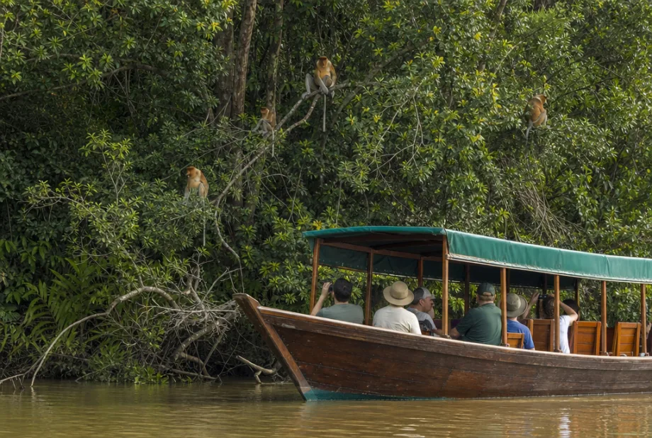 Borneo, Malajsie