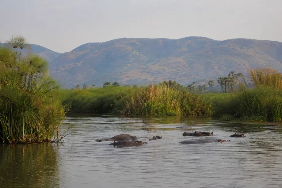 Rusizi National Park
