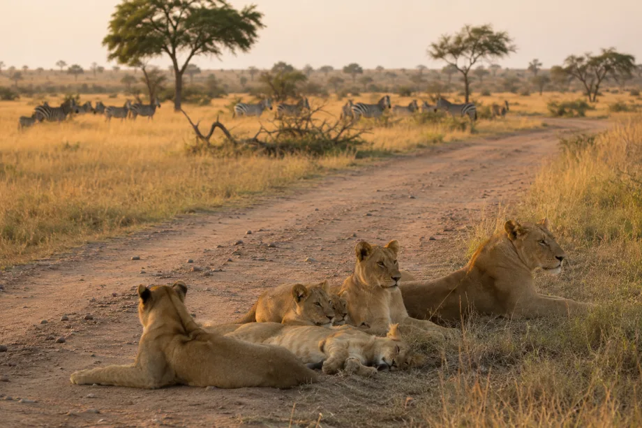 Krugerův národní park, Jihoafrická republika