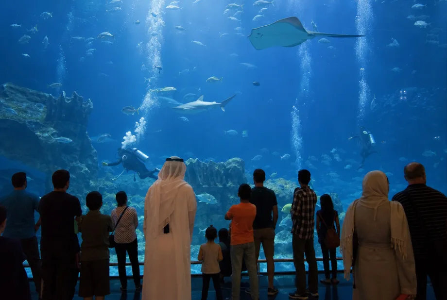 Scientific Center