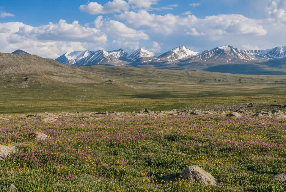 Skardu a Deosai