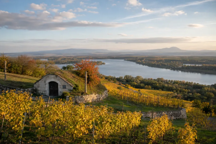 Tokaj