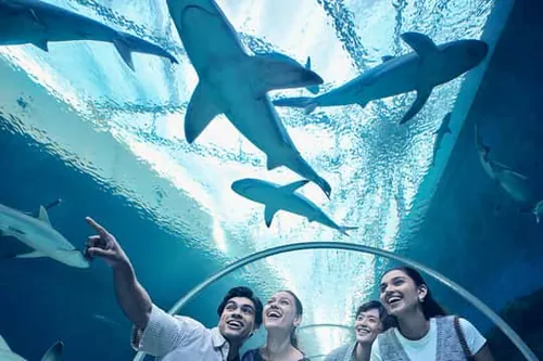 Vstupenka do Singapurského oceánária v elektronické podobě
