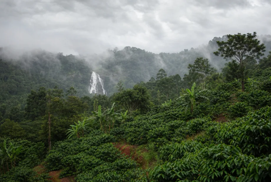 Kerala, Indie