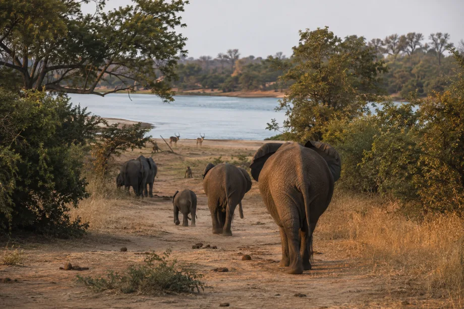 Zambezi National Park