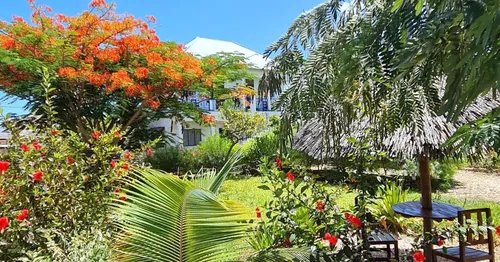 Frangipani House Nungwi