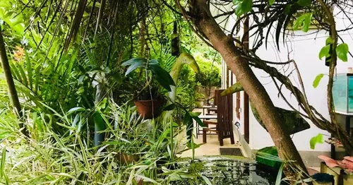 Green jade Inn Mirissa