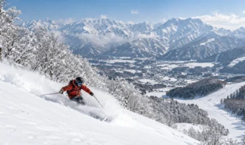 lyzovani-hakuba