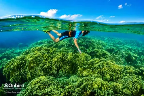 Phu Quoc: Výlet rychlostním člunem na 4 ostrovy a ke 2 útesům se šnorchlováním